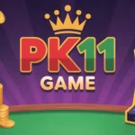 PK11 Game