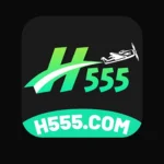 H555 Game