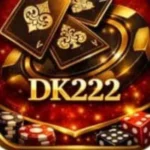 DK222 Game