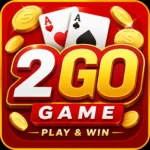2Go Game